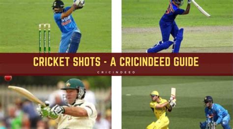 Cricketing Shots - A Perfect Guide! - CricIndeed