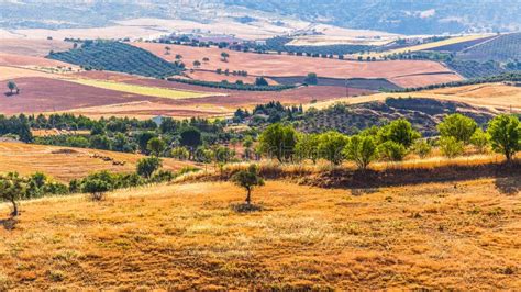 Landscape In Rural Andalusia Spain Stock Photo Image