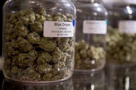 A beginner’s guide to buying recreational marijuana in California ...