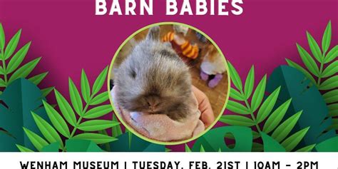 Barn Babies [02/21/23]