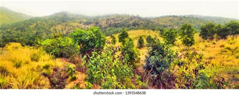 574 Plateau Deccan Images Stock Photos And Vectors Shutterstock