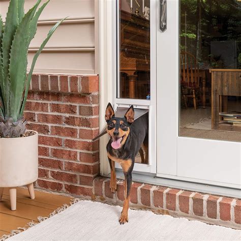 Petsafe Sliding Glass Cat And Dog Door Insert Great For Apartment And