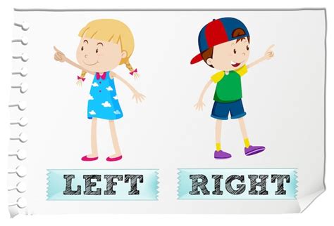 Opposite Adjectives Left And Right Vector Free Download