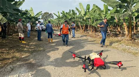 Drones De M S De Kilos De Peso Ya Se Usan Para Fumigar Banano El