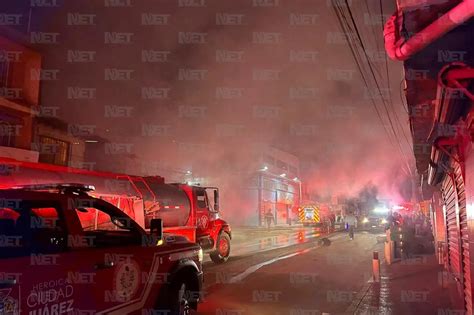 Localizan A Perro Extraviado Y Herido Tras Incendio En Llantera