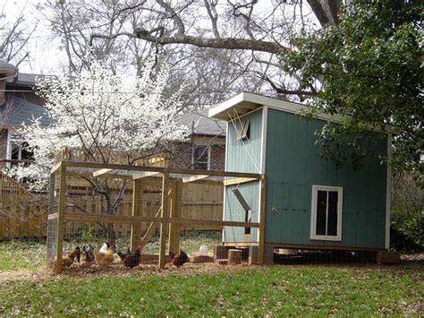 Chicken Coops For Backyard Flocks Hgtv