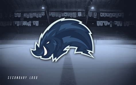 Rebranding Concept Les Sangliers Arvernes Hockey On Behance