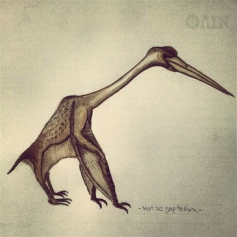 Hatzegopteryx By Mamatlisham On Deviantart