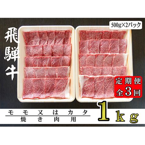 【3ヶ月定期便】a5ランク飛騨牛赤身肉焼き肉用1kg（モモ又はカタ）の返礼品詳細 Jr東日本が運営【jre Mallふるさと納税】