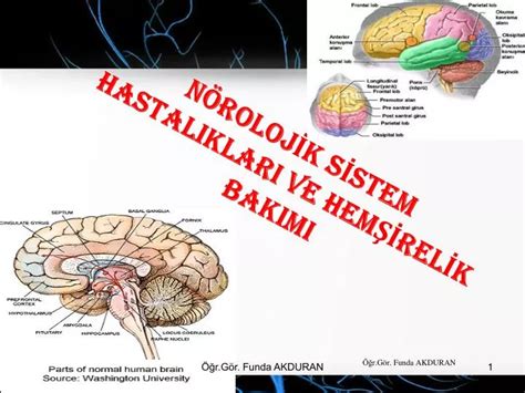 PPT NÖROLOJİK SİSTEM HASTALIKLARI VE HEMŞİRELİK BAKIMI PowerPoint