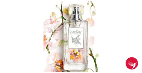 White Orchid Ninel Perfume Perfume A Fragrance For Women 2014