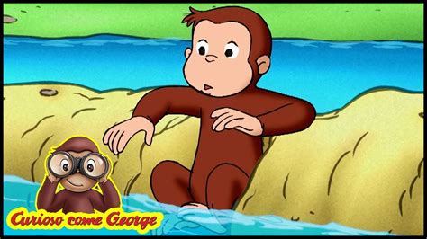 Curioso Come George Salvate I Pesci Cartoni Animati Per Bambini