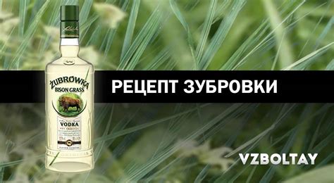 Водка Зубровка: обзор, полезные свойства + 2 рецепта в домашних условиях