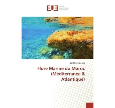 Flore Marine du Maroc Méditerranée Atlantique mediterranee