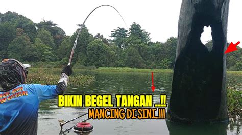 SUNDUL BOLONG BIKIN KETAR KETIR Mancing Nila Liar Umpan Mancing