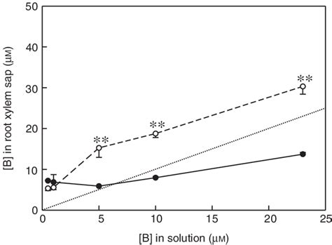 Concentration Of B In Root Xylem Exudate Of Plants Acclimated To High