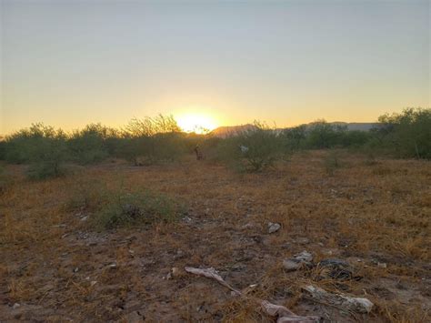 Localizan A Osamenta En El Poblado La Palma El Vigia