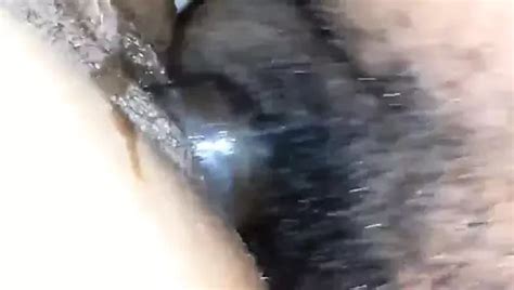 Kapis Tease Amateur Amateur Porn Xhamster