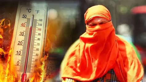 Delhi Heat Wave दिल्ली में जानलेवा हुई गर्मी हीट स्ट्रोक से 13 की मौत कई वेंटिलेटर पर Delhi