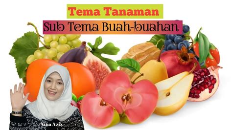 Video Pembelajaran Tema Tanaman Sub Tema Buah Buahan I BDR PAUD L