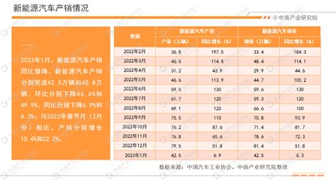 2023年1月中国新能源汽车行业月度报告（完整版） 中商情报网