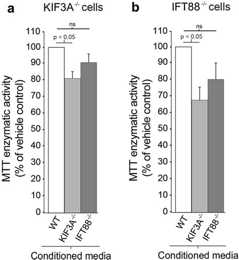 Conditioned Media From Ciliated Gbm Cell Cultures Does Not Promote The