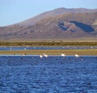 Definici N De Laguna Qu Es Significado Y Concepto