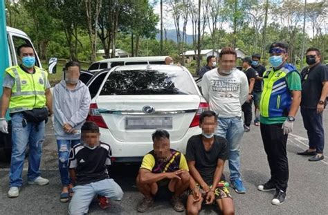 Dua Tekong Darat Ditangkap Bersama Tiga PATI Utusan Borneo Online