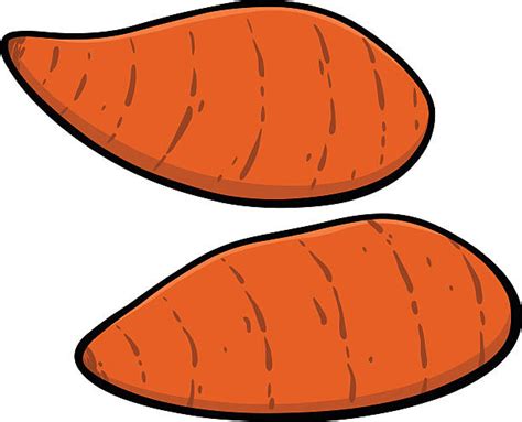 480 Yams And Sweet Potatoes Cartoon Stock Illustrations Royalty Free