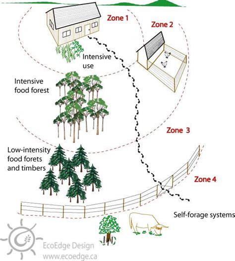 Permaculture Zones On 1 8 Of An Acre Artofit