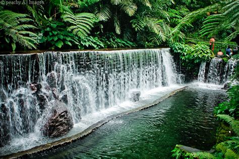 Bato Springs Resort In San Pablo Laguna Part 1 Mommy Peach