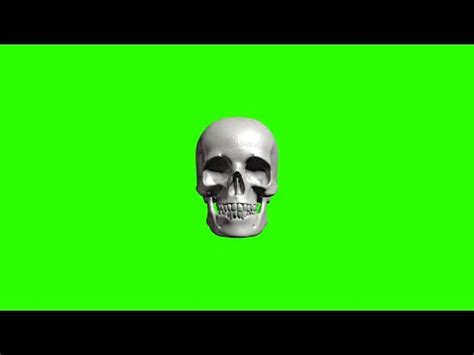 Rotating Skull Green Screen Chroma Key Youtube