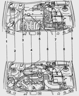 Ford Fiesta Engine Diagram Zetec