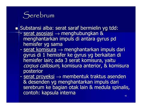 Anatomi Sistem Saraf Pusat dan Sistem Saraf Tepi | PPT