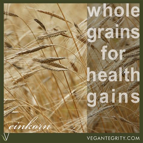 Eat A Diet That Includes Hearty Whole Grains For Many Health Gains