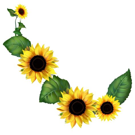 Download Sunflower Banner Png Ouk