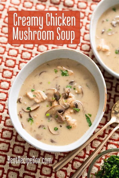 Creamy Chicken Mushroom Soup Recipe Easy Quick | Best Recipe Box