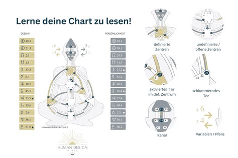 Das 1x1 Des Human Design Lerne Deine Chart Zu Lesen