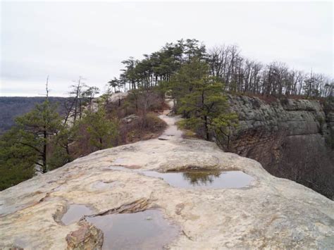 The Auxier Ridge Red River Gorge Hiking | GoGoMountain