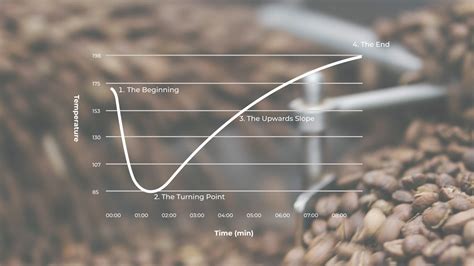 Understanding The Coffee Roasting Curve Roast The Coffee Everything