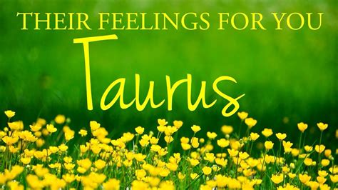 Taurus Love Tarot ♉️ Someone Who Ghosted You Taurus 😶‍🌫️ You Should