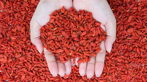 Goji Berries The Underrated Superfood You Should Be Eating