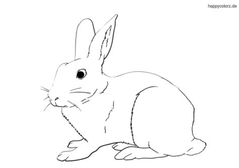Hase Malvorlage kostenlos » Hasen Ausmalbilder | happycolorz.de