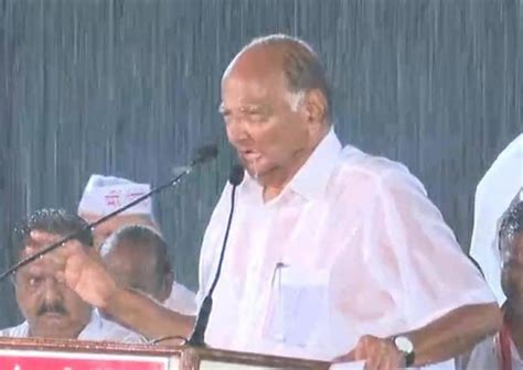 Maharashtra Polls Sharad Pawar Addresses Rally In Satara Amid Heavy