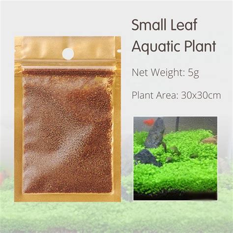 Petcher Fish Tank Aquarium Aquatic Plant Seed Decoration Help To