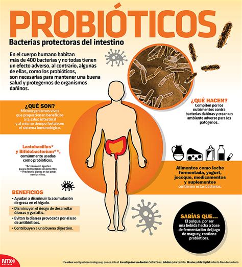 Probi Ticos Bacterias Buenas Que Mantienen La Salud Intestinal El