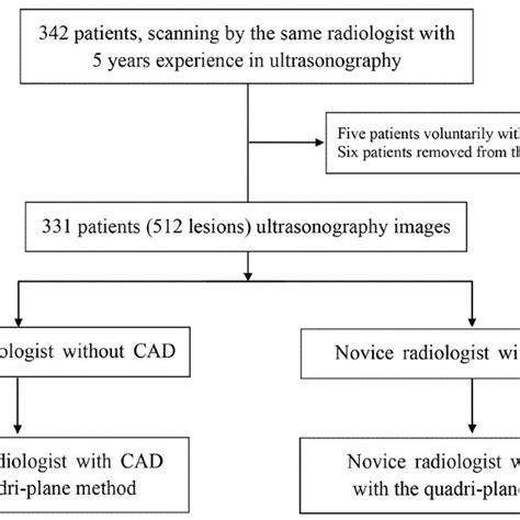 The Study Design And Workflow CAD Computer Aided Diagnosis