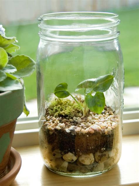 How To Create A Terrarium Hgtv