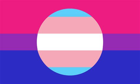 Trans Pride Flag Trans Flag Bi Flag Trans Art Lgbtq Flags Online