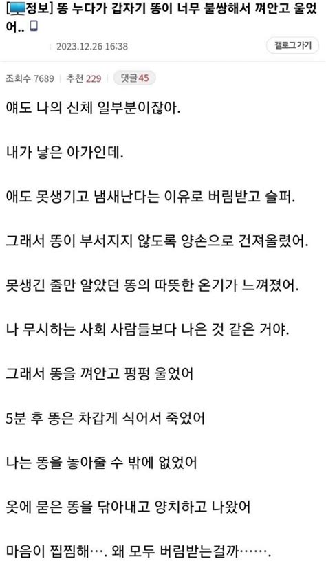 똥 연예인잡담 에펨코리아